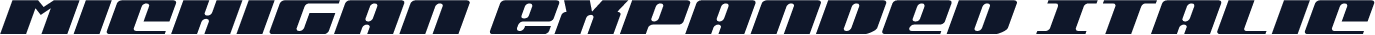 Michigan Expanded Italic