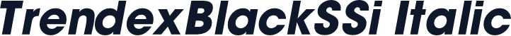 TrendexBlackSSi Italic