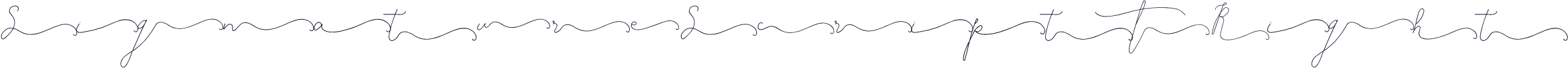 SignatureScript1Right