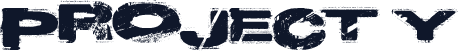 Project Y
