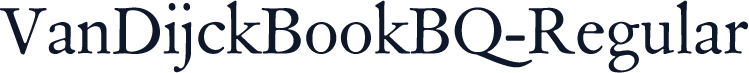VanDijckBookBQ-Regular