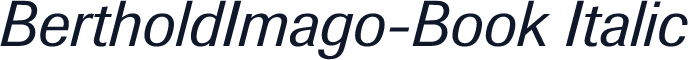 BertholdImago-Book Italic