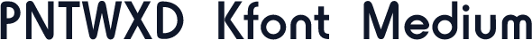 PNTWXD+Kfont-Medium