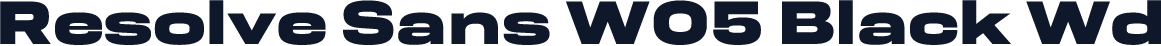 Resolve Sans W05 Black Wd