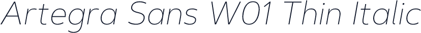 Artegra Sans W01 Thin Italic