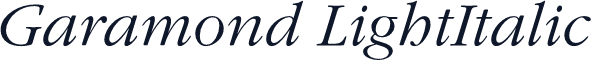 Garamond LightItalic