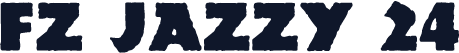 FZ JAZZY 24