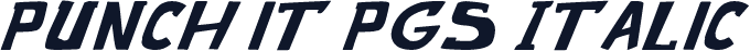 punch it PGS Italic