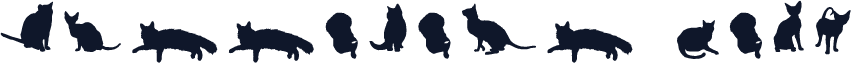 ☞Gattofont Bold