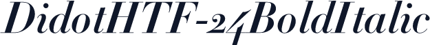 DidotHTF-24BoldItalic