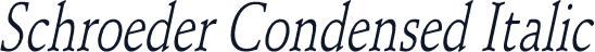 Schroeder Condensed Italic