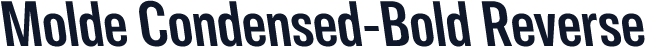 Molde Condensed-Bold Reverse