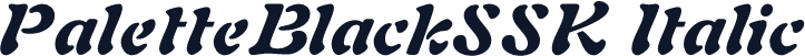 PaletteBlackSSK Italic