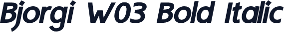 Bjorgi W03 Bold Italic
