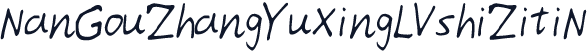NanGouZhangYuXingLVshiZitiN