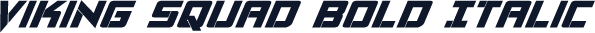 Viking Squad Bold Italic
