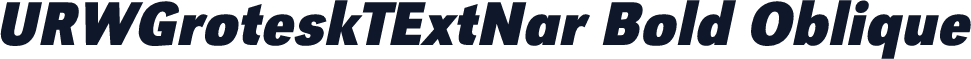 URWGroteskTExtNar Bold Oblique