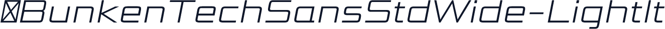 ☞BunkenTechSansStdWide-LightIt