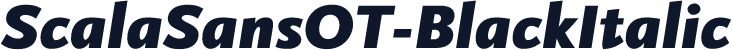 ScalaSansOT-BlackItalic