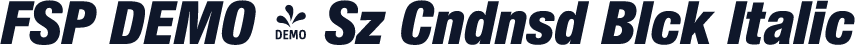 FSP DEMO - Sz Cndnsd Blck Italic