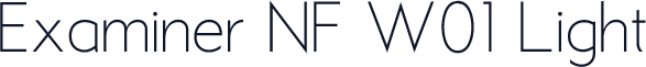 Examiner NF W01 Light