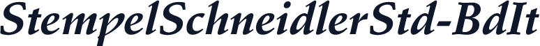 StempelSchneidlerStd-BdIt