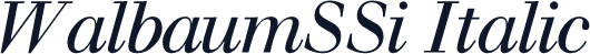 WalbaumSSi Italic