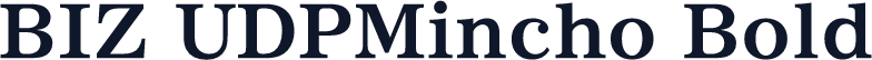 BIZ UDPMincho Bold