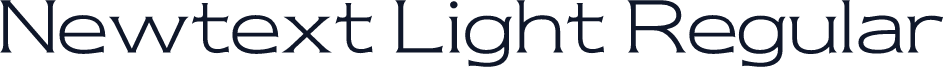 Newtext Light Regular