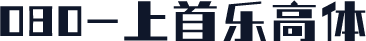 080-上首乐高体