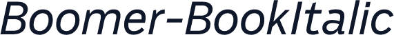 Boomer-BookItalic