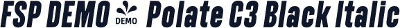 FSP DEMO - Polate C3 Black Italic