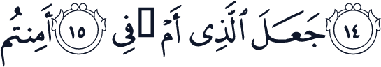 QCF_P563