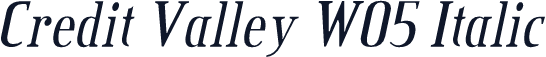 Credit Valley W05 Italic