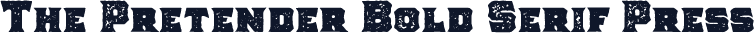 The Pretender Bold Serif Press
