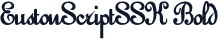 EustonScriptSSK Bold
