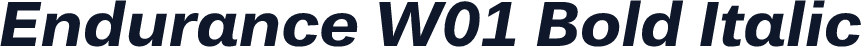 Endurance W01 Bold Italic