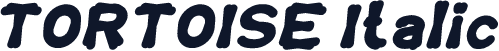 TORTOISE Italic