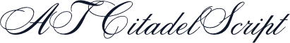 ATCitadelScript
