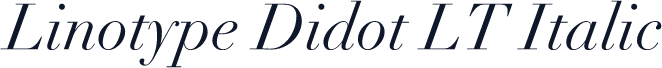 Linotype Didot LT Italic