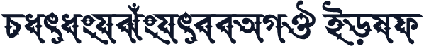 ParashSushreeAMJ Bold