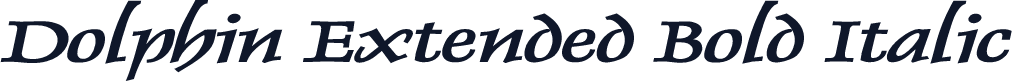 Dolphin Extended Bold Italic