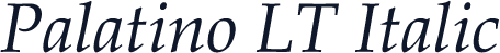 Palatino LT Italic