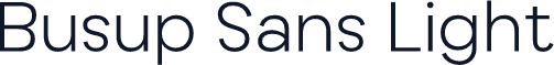 Busup Sans Light