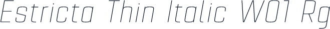 Estricta Thin Italic W01 Rg