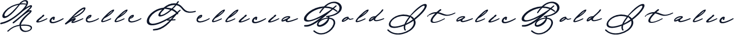 Michelle Fellicia Bold Italic Bold Italic
