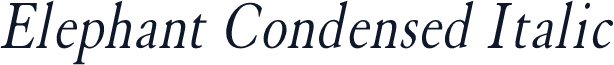 Elephant Condensed Italic