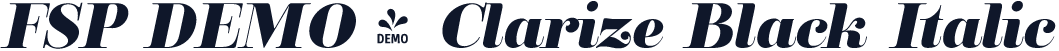 FSP DEMO - Clarize Black Italic