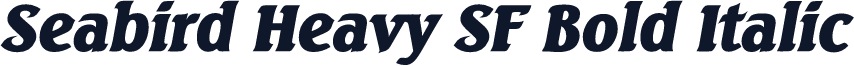 Seabird Heavy SF Bold Italic