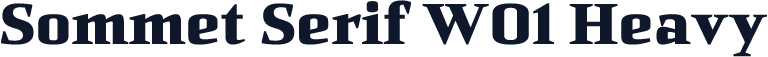 Sommet Serif W01 Heavy
